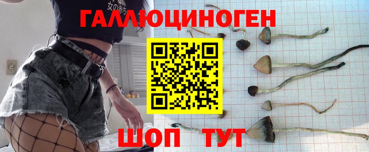 Галлюциногенные грибы мухоморы  Вход с VPN  Новочеркасск 